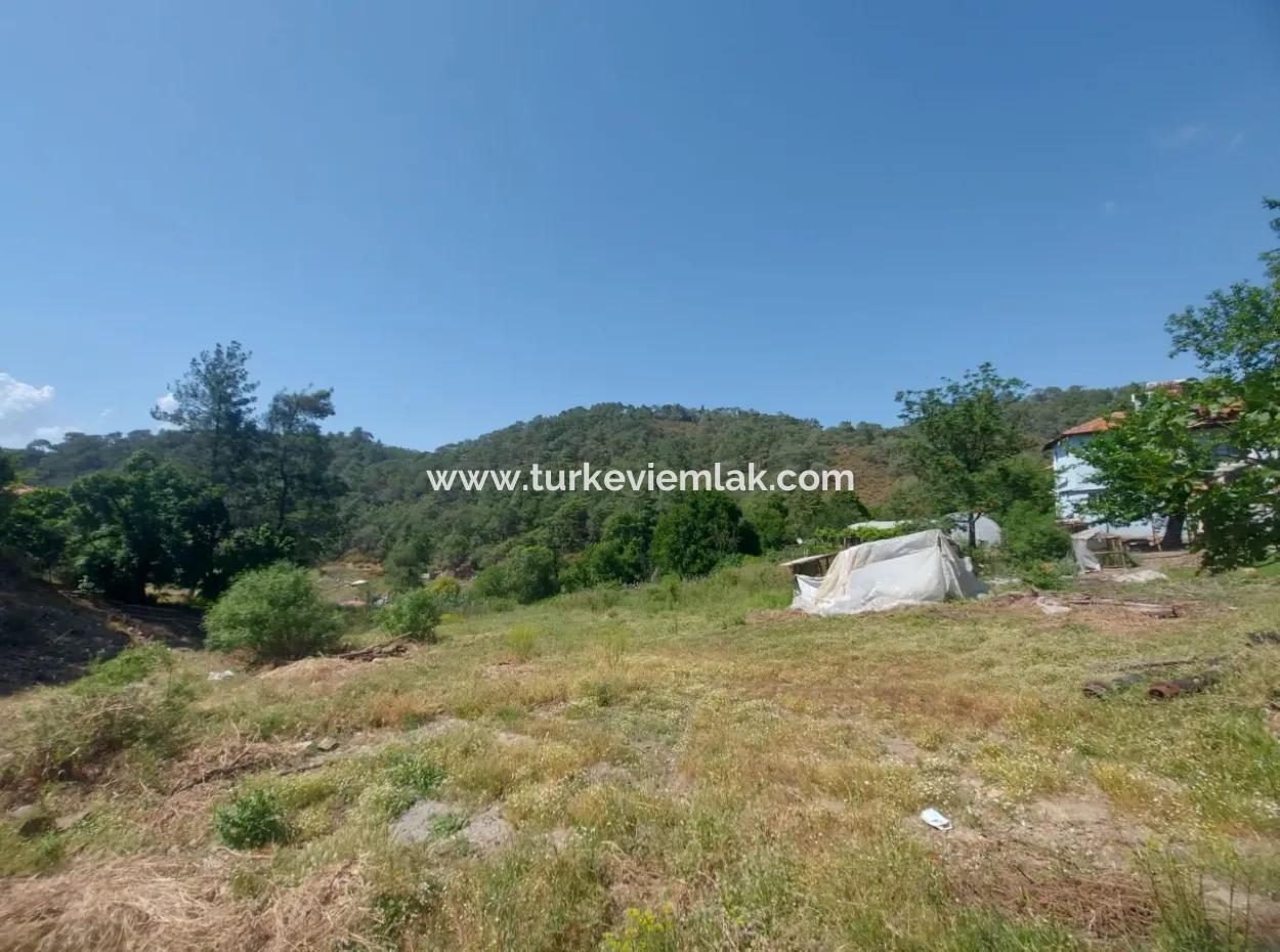 4200 M2 Großes Feld Zum Verkauf In Der Region Tepearası In Der Nähe Von Dalyan