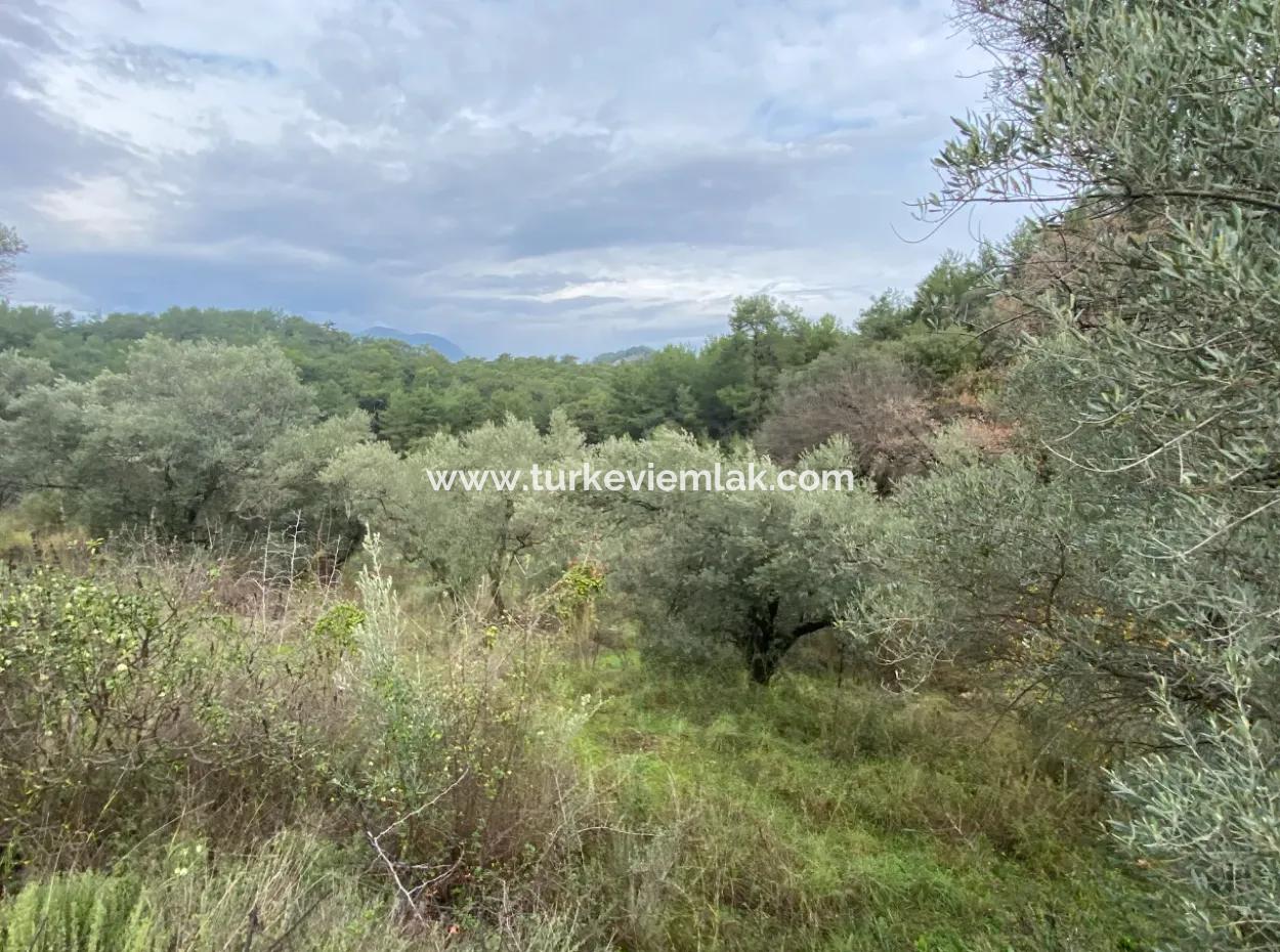 Land For Sale In The Village In Gökbel (Gba16)