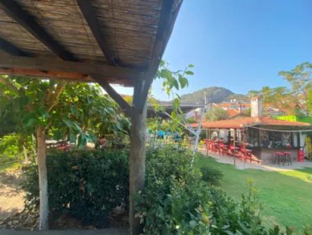 Cafe & Bar For Rent In Dalyan (Kda03)