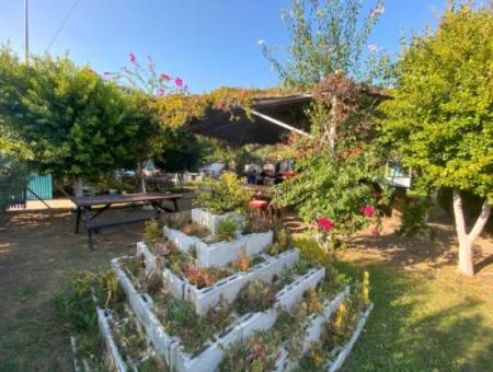 Cafe & Bar For Rent In Dalyan (Kda03)