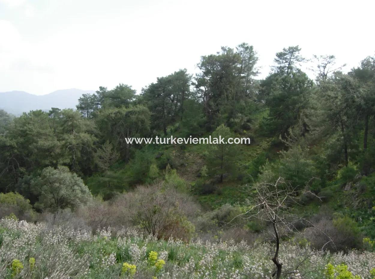 Detached House For Sale In Kışla Area In Dalyan Gökbel (Gbk05)