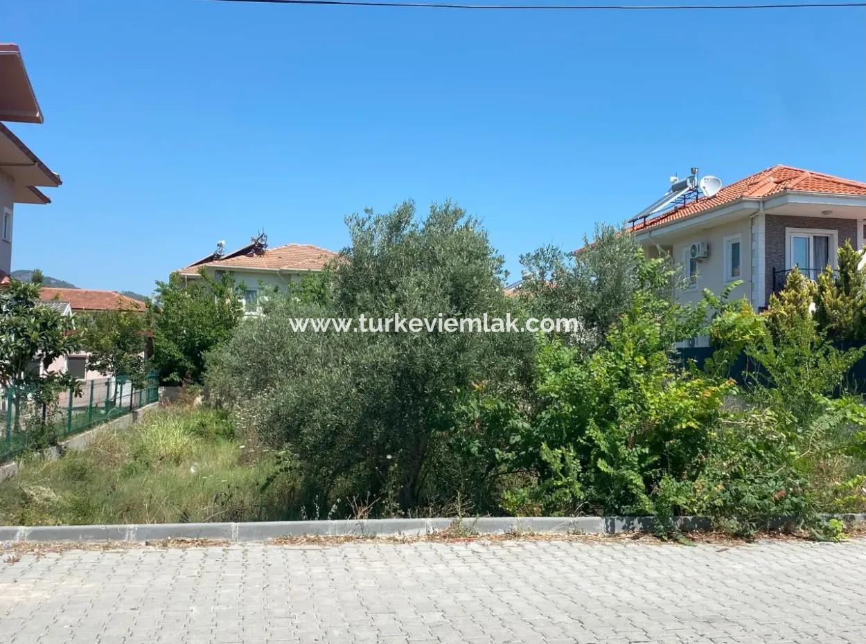 Land For Sale In Dalyan(Da39)