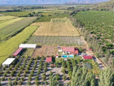 Farmhouse Located On 40 Acres Of Land In Tepearası Area (Tak01)