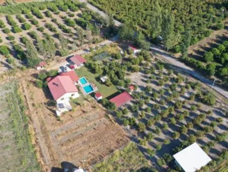 Farmhouse Located On 40 Acres Of Land In Tepearası Area (Tak01)