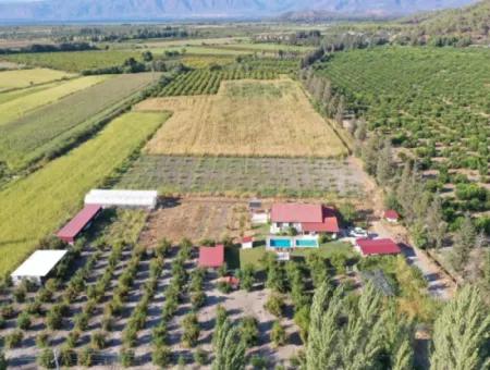 Farmhouse Located On 40 Acres Of Land In Tepearası Area (Tak01)