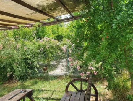 Farmhouse Located On 40 Acres Of Land In Tepearası Area (Tak01)