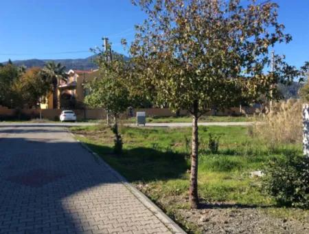 Land With Villa Zoning For Sale In Dalyan (Da03)