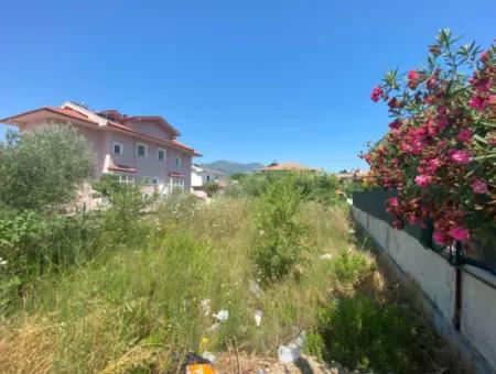 Land For Sale In Dalyan(Da39)