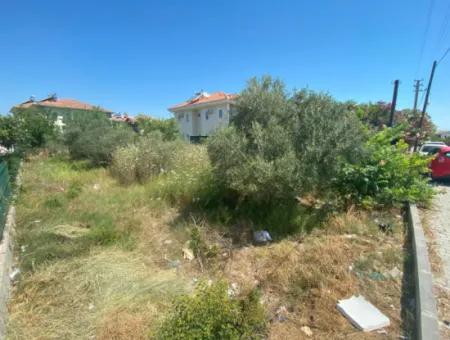 Land For Sale In Dalyan(Da39)