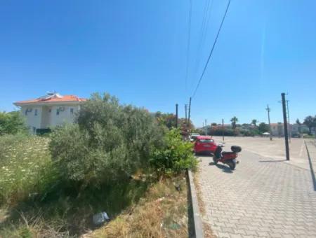 Land For Sale In Dalyan(Da39)