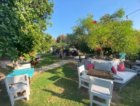 Cafe & Bar For Rent In Dalyan (Kda03)