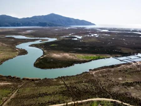 Dalyan Gökbelde Deniz,Göl Manzaralı 1300 M2 Satılık Tarla(Gba02)