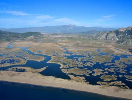 Dalyan Gökbelde Deniz,Göl Manzaralı 1300 M2 Satılık Tarla(Gba02)