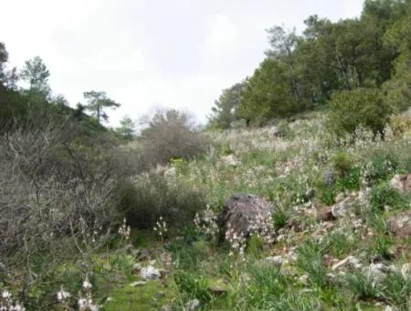 Dalyan Gökbel'de Kışla Mevkiinde Satılık Müstakil Ev(Gbk05)